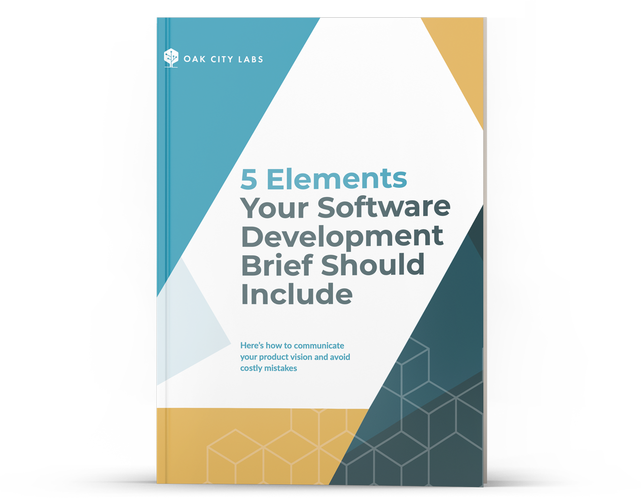 5 Elements for Software Development Brief